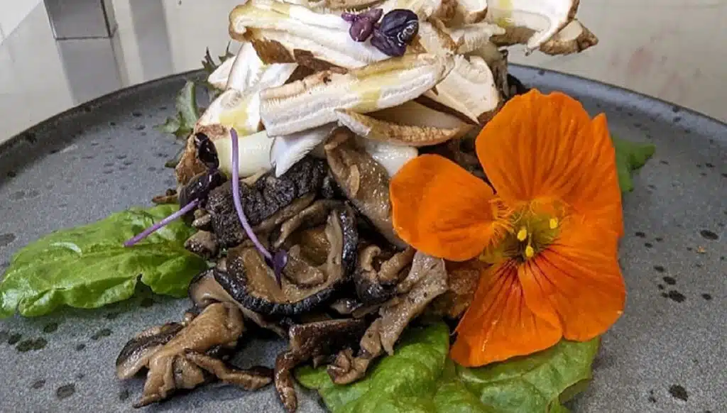 Fotocredit: Provis Restaurant Fleesensee