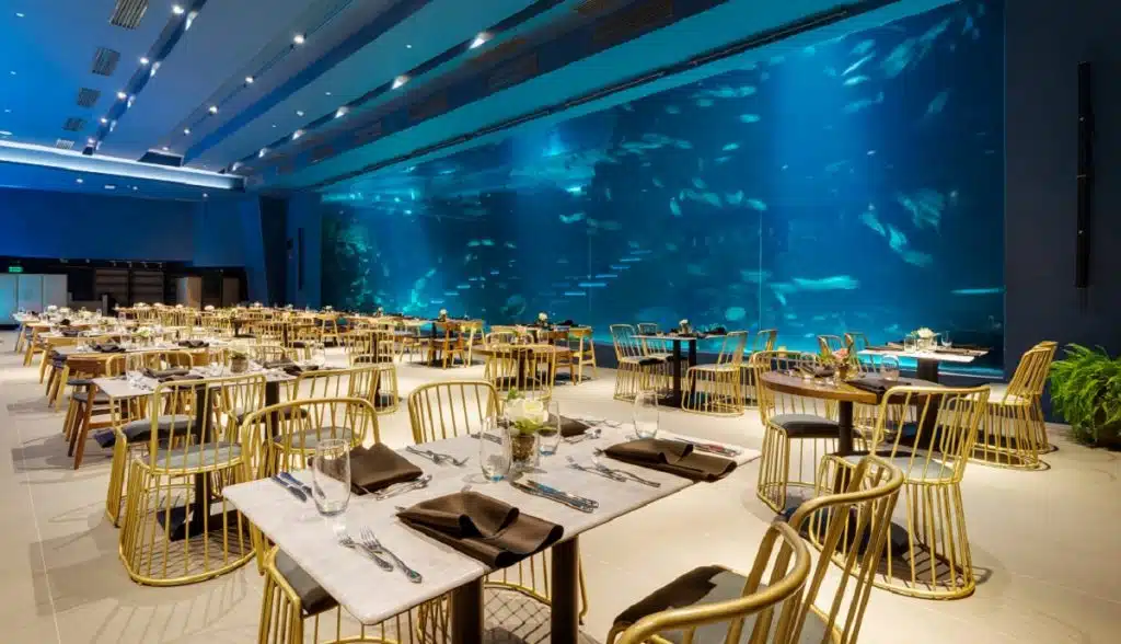 Aqua Dining Adventure